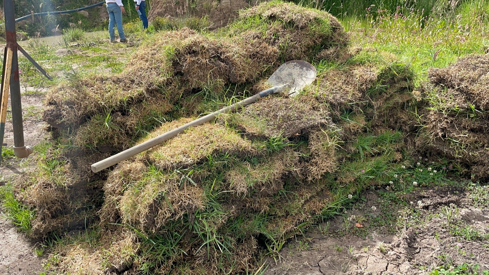 La Corporación Autónoma Regional detectó actividad en la reserva ambiental.