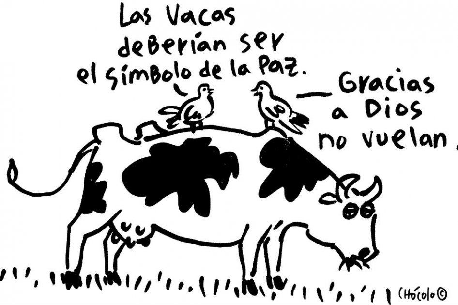 Chócolo
