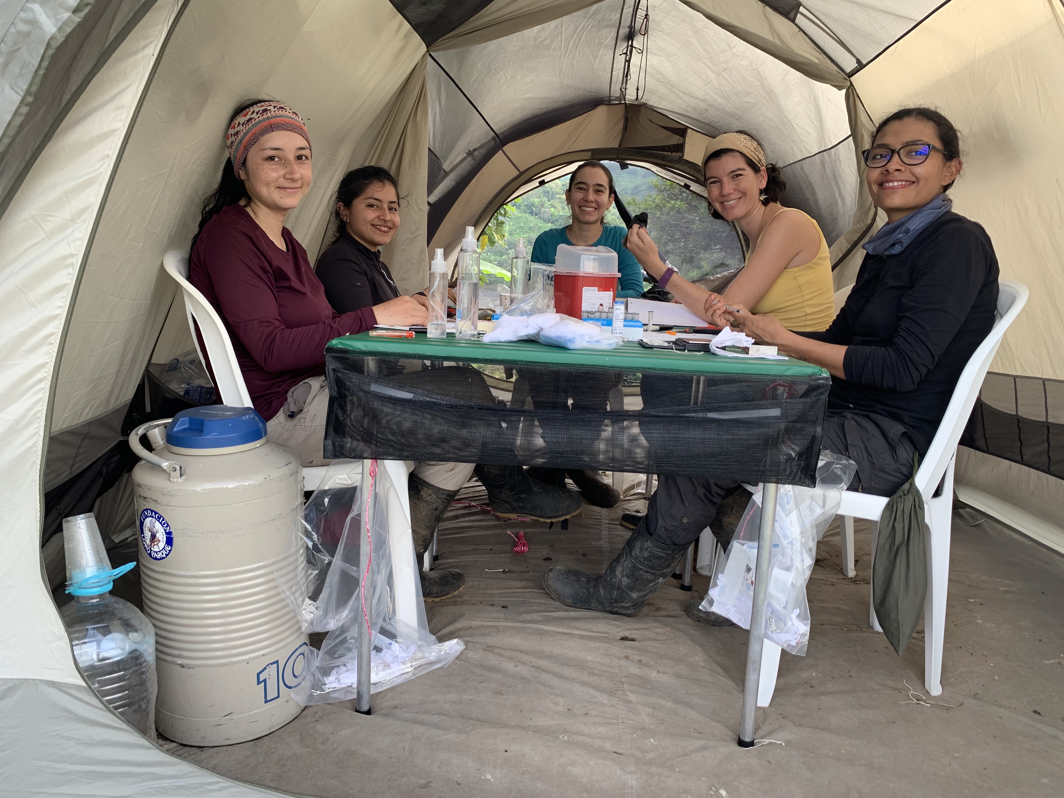 Las investigadoras Juliana Soto, Jessica Díaz, Daniela García, Natalia Ocampo y Estefanía Guzmán. / Laura Gómez