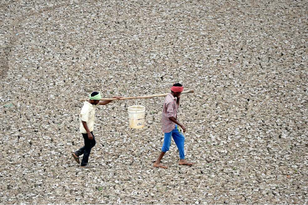 Fuerte ola de calor en India causó la muerte de decenas de personas