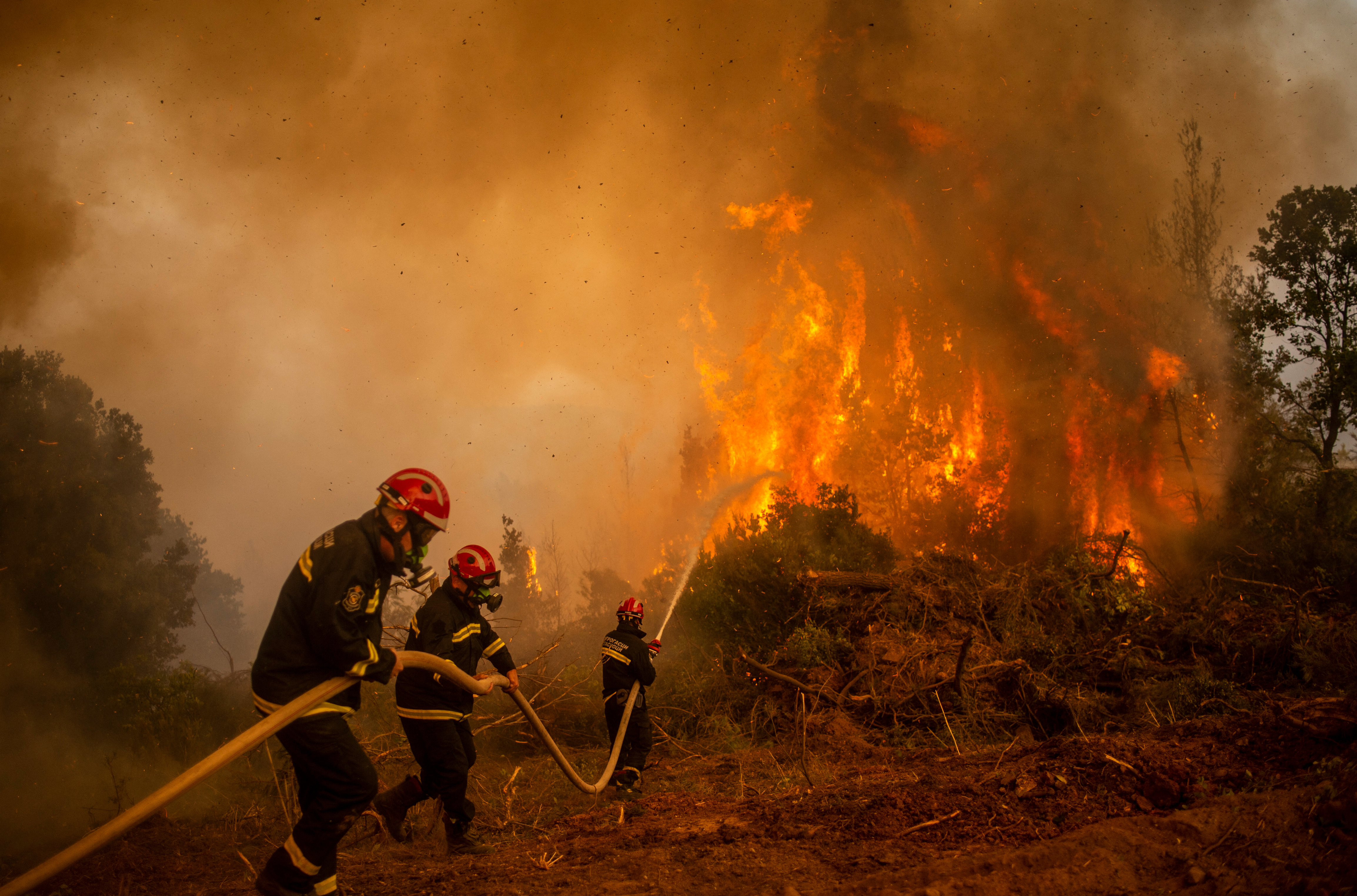 Incendio en Grecia: en 10 días las llamas han arrasado con más de 56.000 hectáreas
