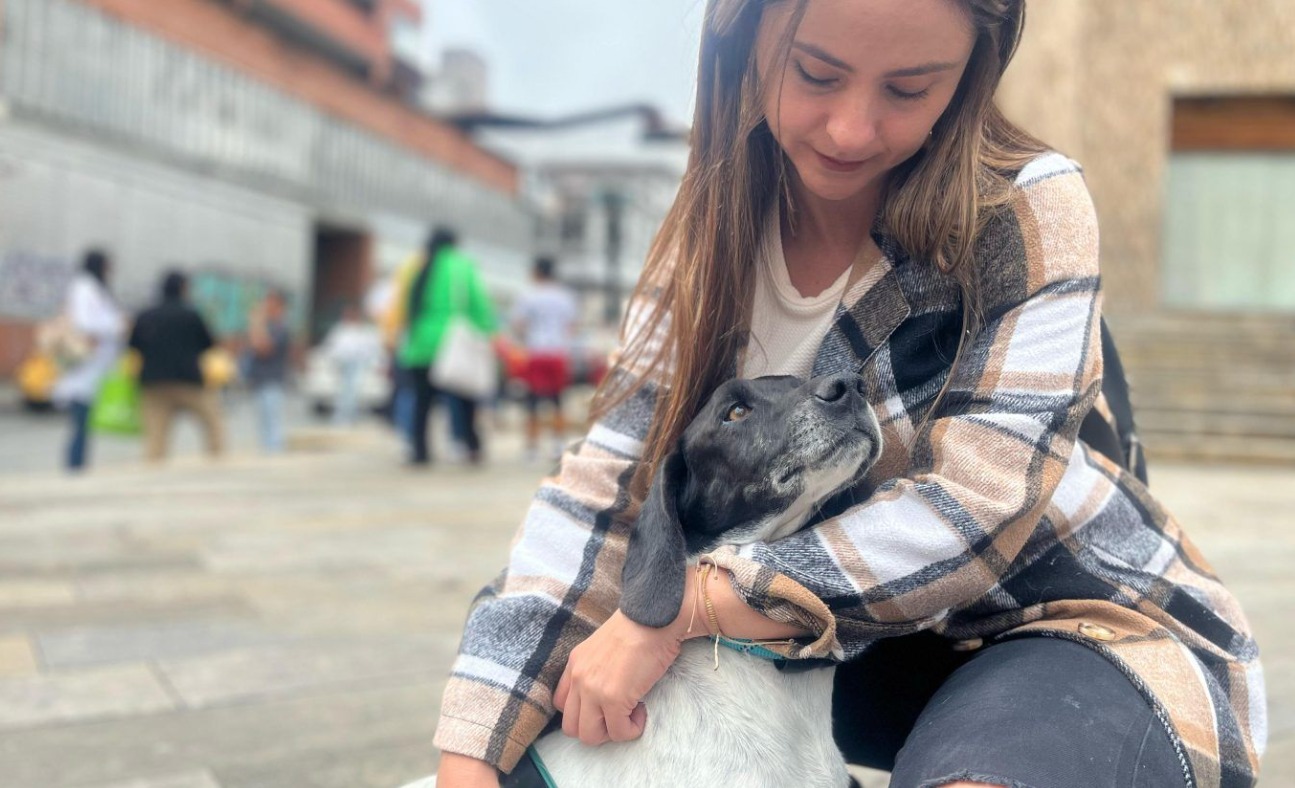 Perros rescatados encontraron un nuevo hogar en jornada de adopción en Manizales