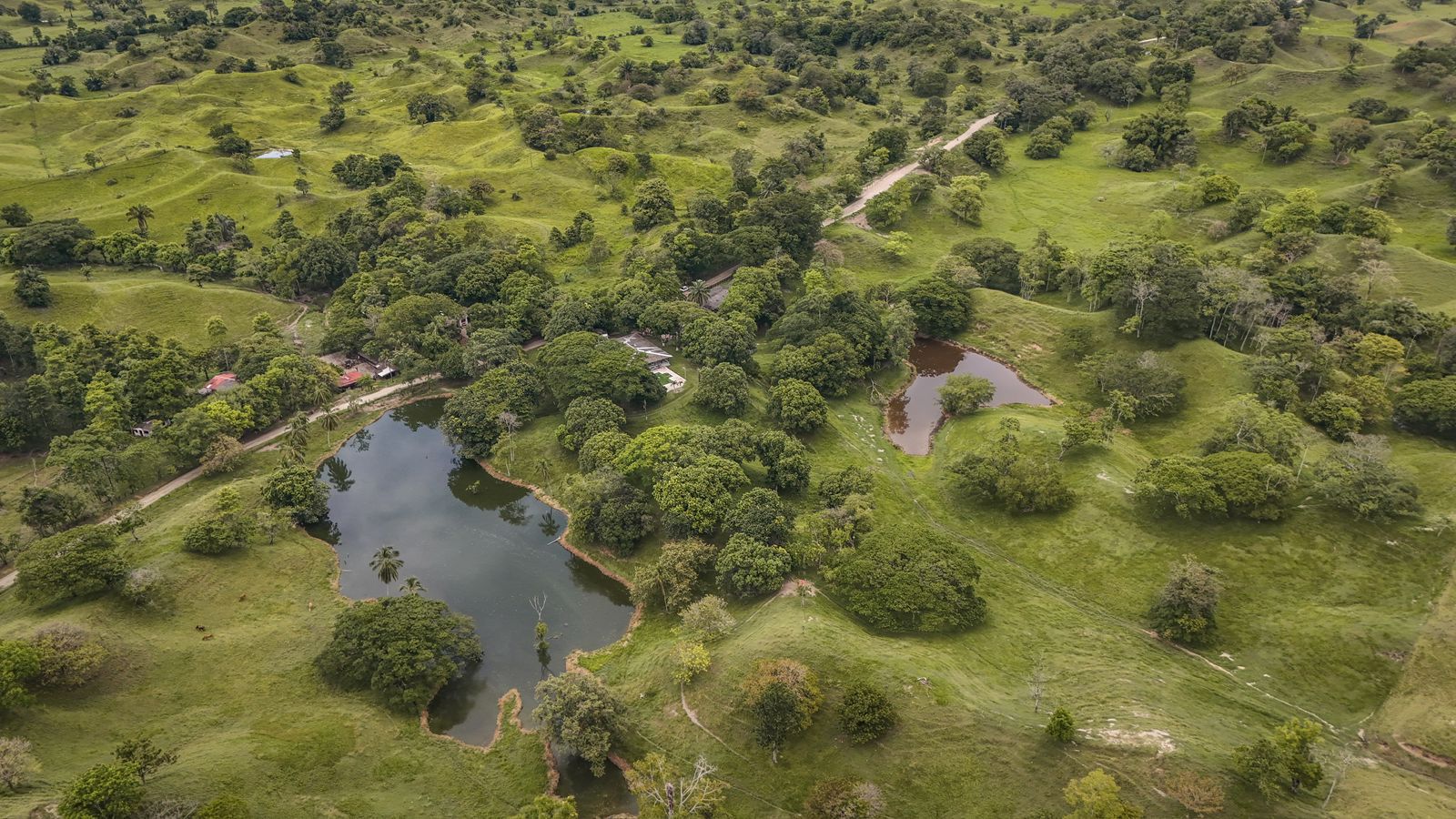 Tierras entregadas a víctimas del conflicto en el Magdalena Medio.