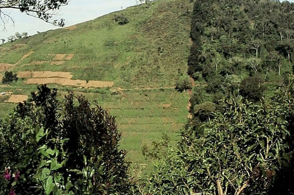 Suelos en África tropical emiten CO2 como 200 millones de automóviles