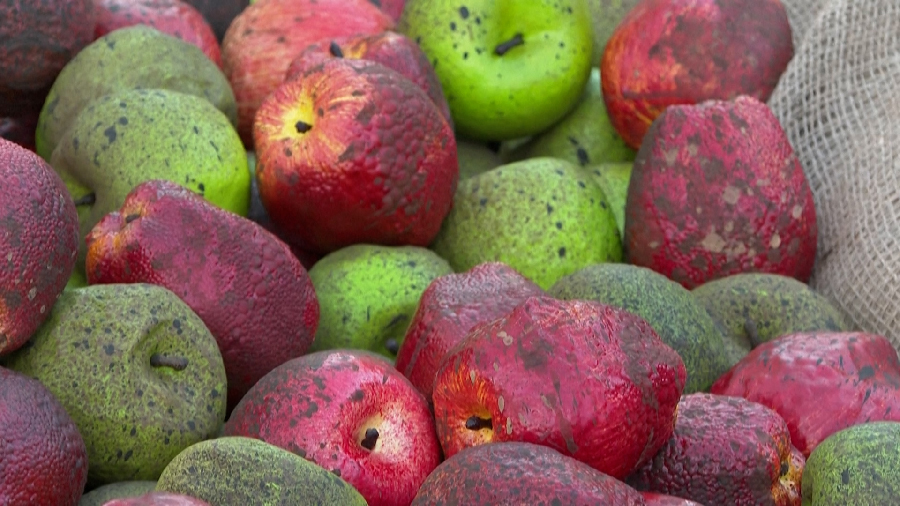 Londres: protestan con manzanas podridas por violencia sexual de policías