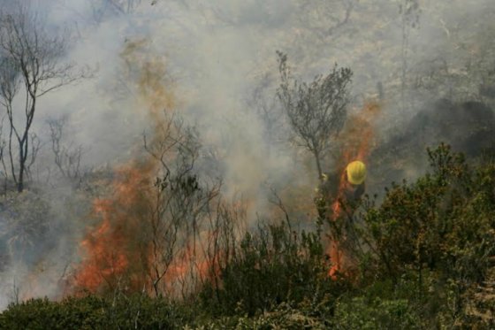 Incendio forestal en Neira, Caldas, completa seis días