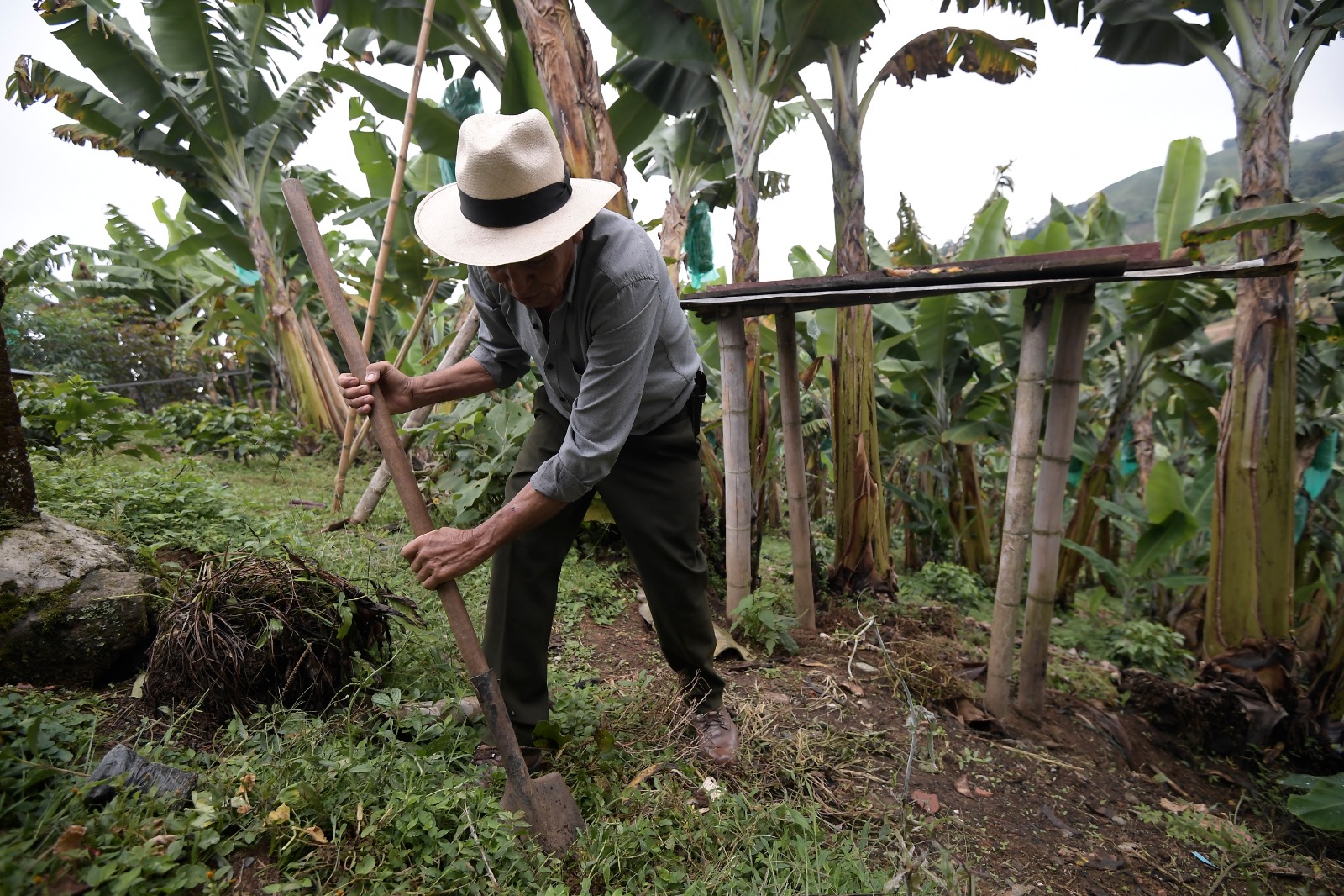 Minagricultura está declarando zonas para la producción de alimentos, ¿qué está en juego?