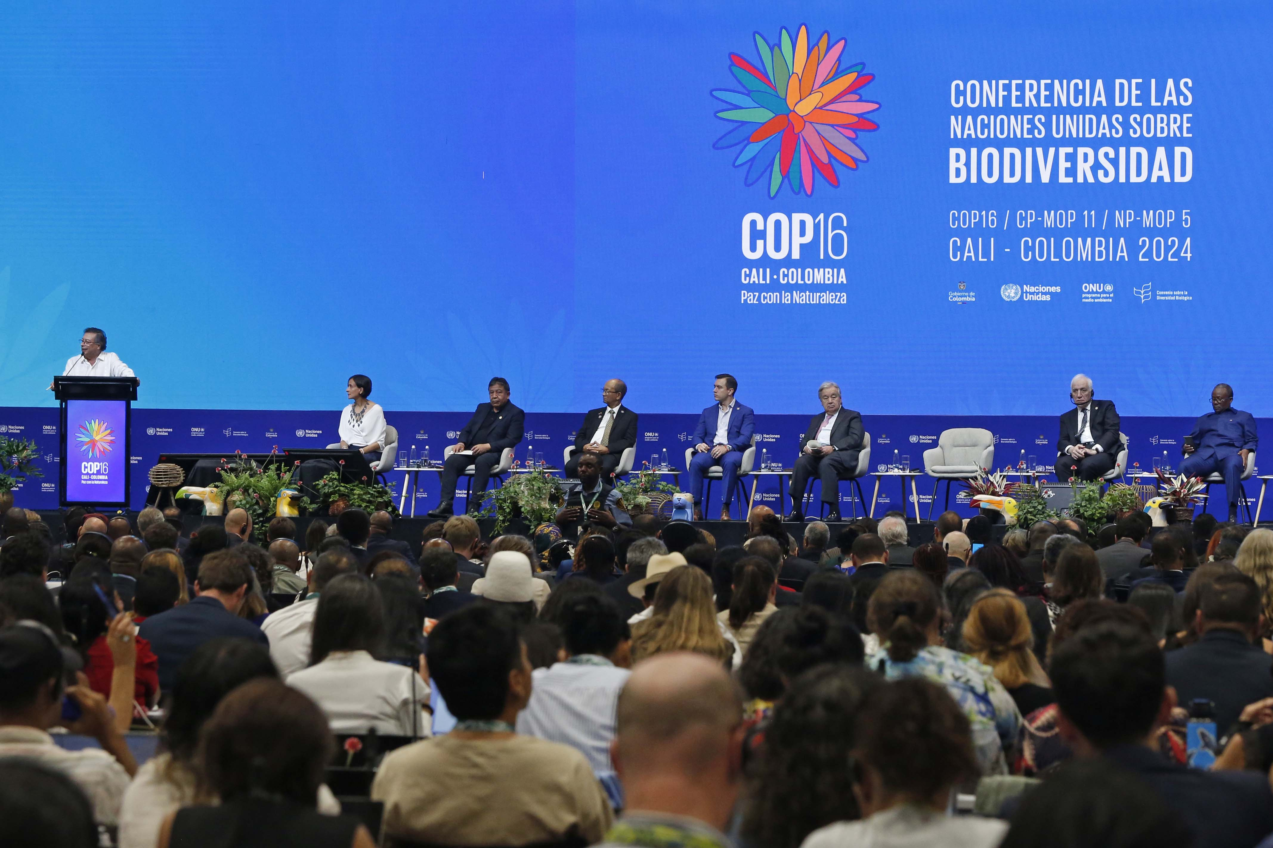 Todo lo que puede pasar el último día de la COP16
