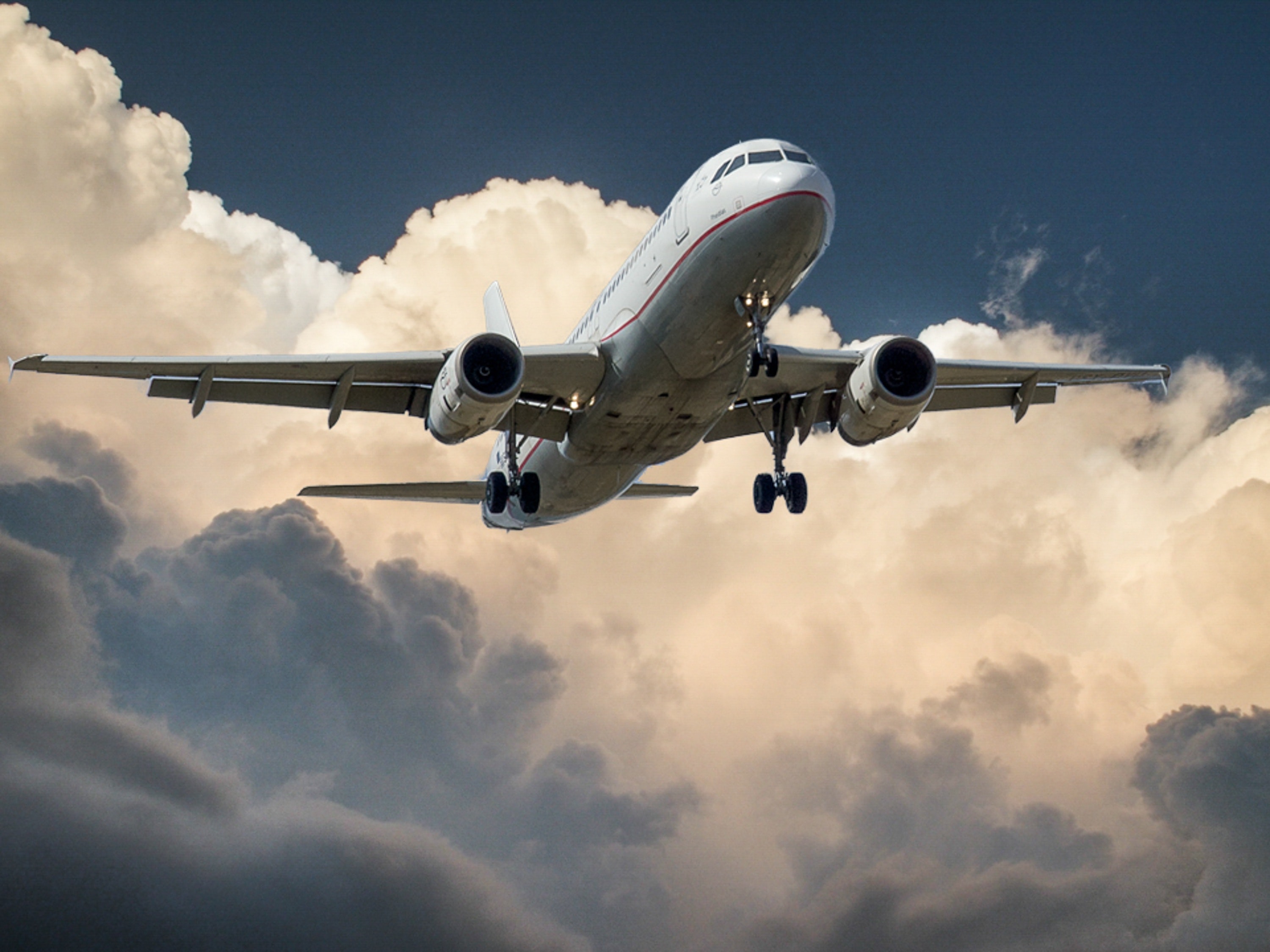 ¿Volverán los viajes a Venezuela? Le contamos cómo va el proceso