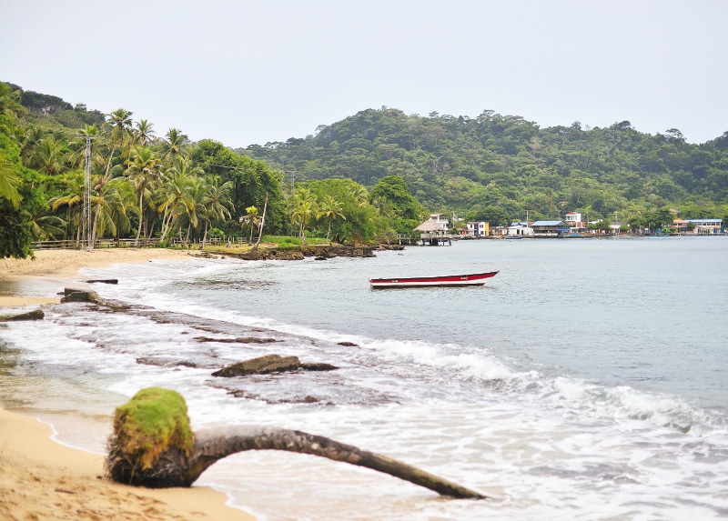 Combatir el cambio climático, la esperanza del Urabá