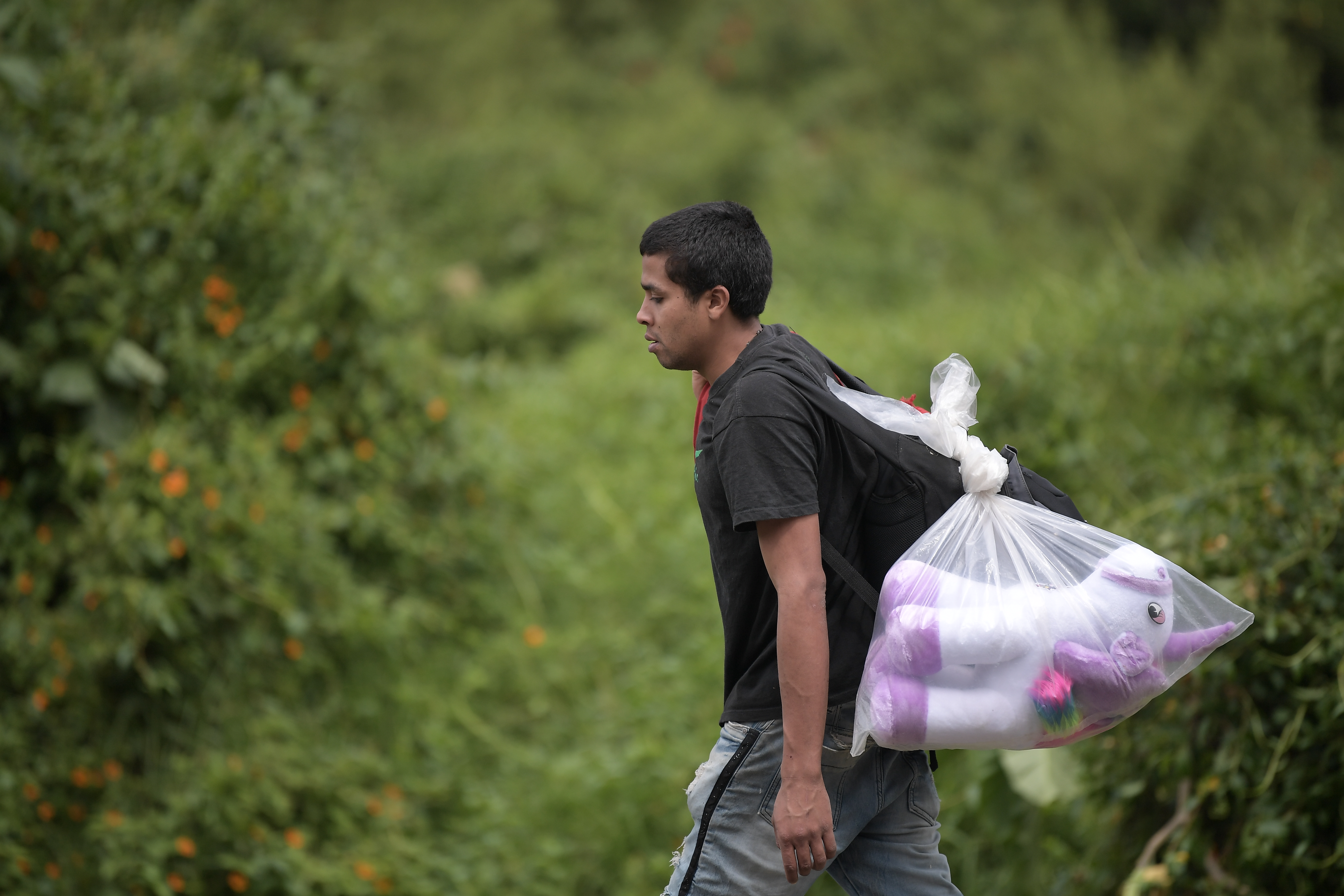 Cerca de un millón de venezolanos indocumentados podrán vacunarse en Colombia