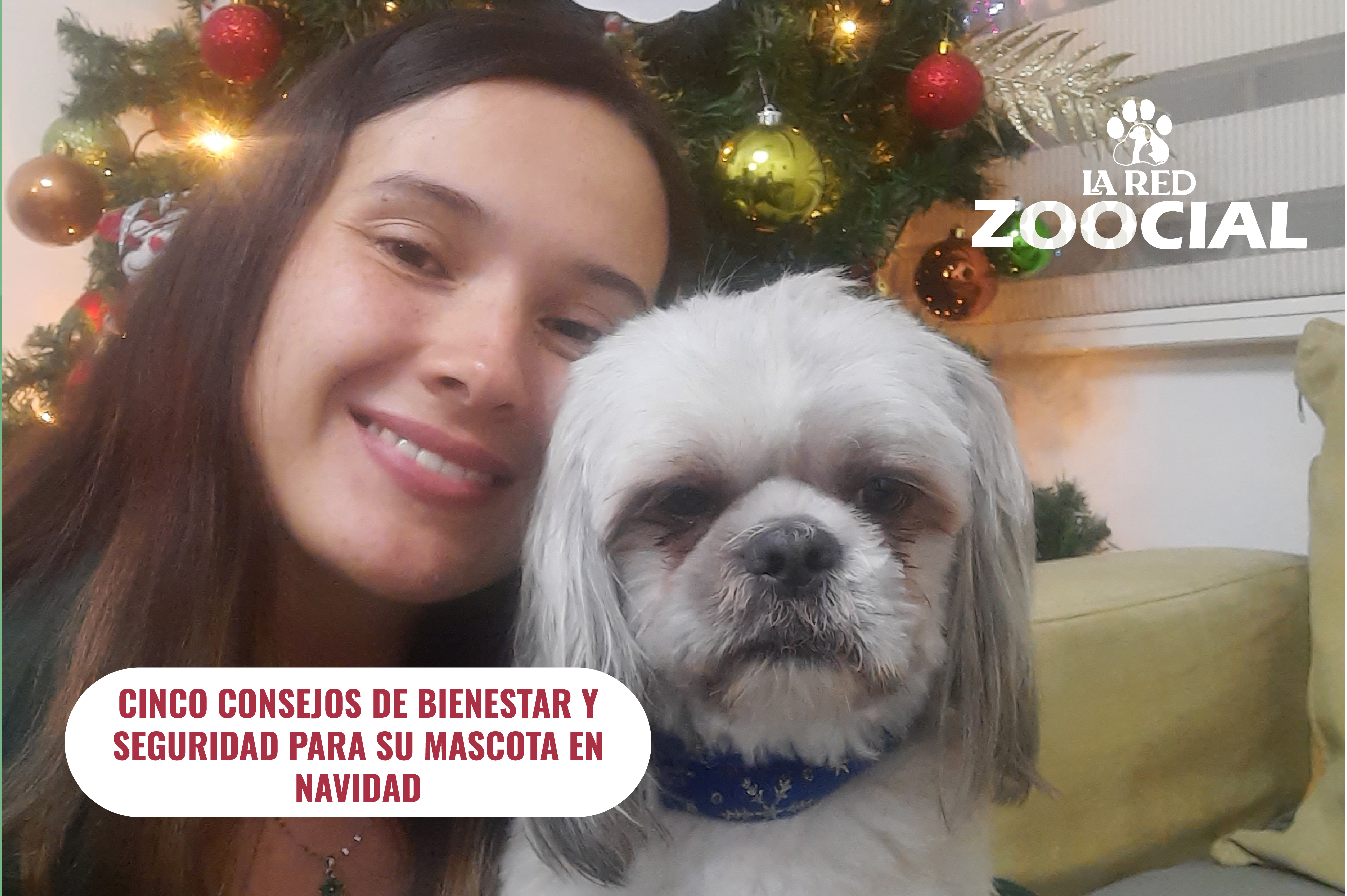 Cinco consejos de bienestar y seguridad para su mascota en Navidad