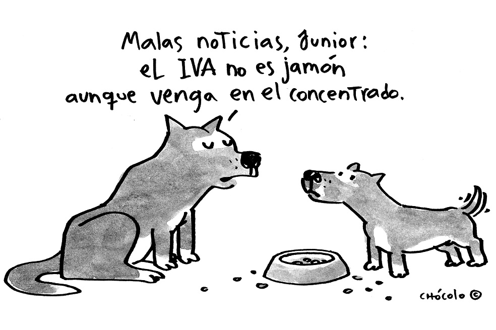 Chócolo