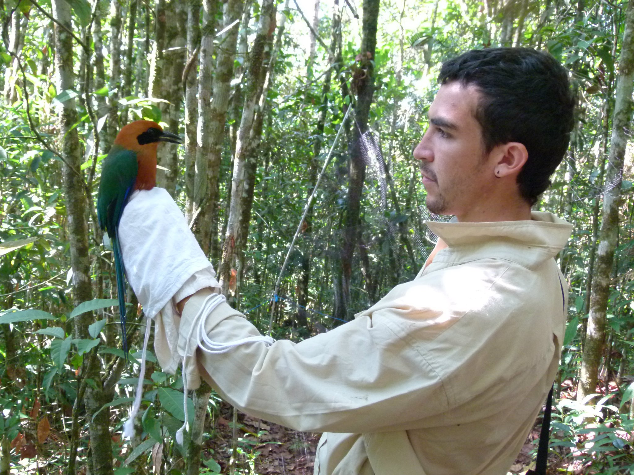 El colombiano Pablo José Negret es ecólogo de la Universidad de Queensland en Australia.