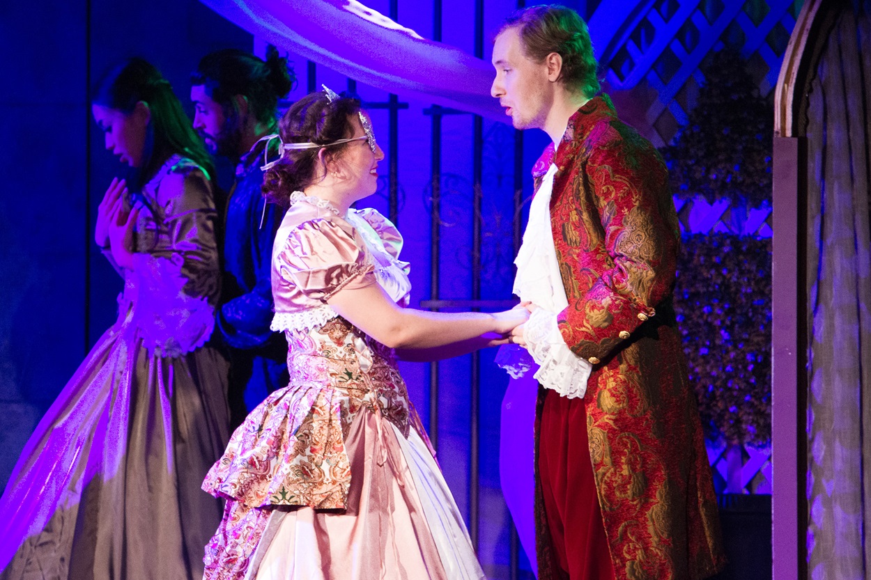 Cinderella The Musical.