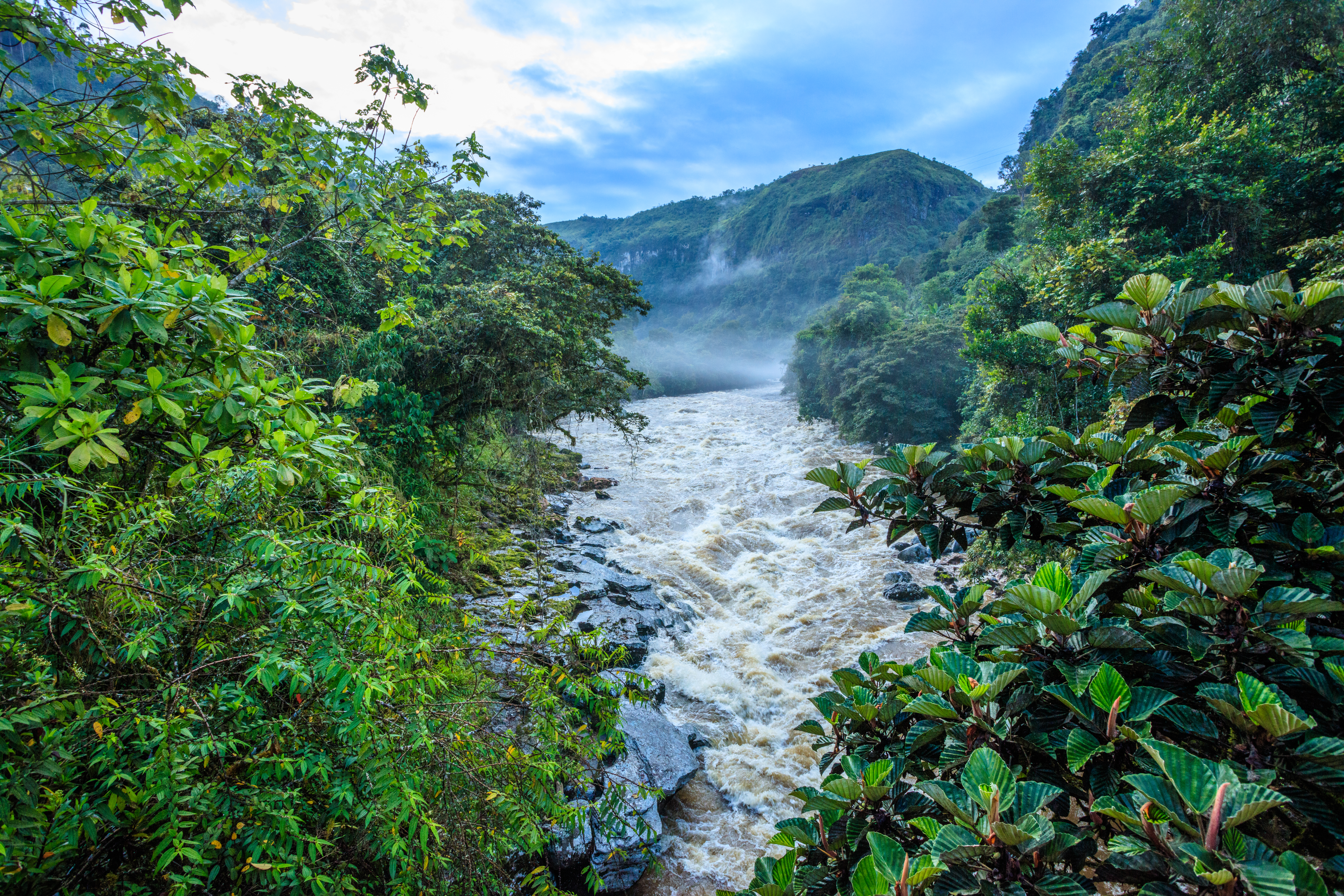 2024, un año clave para el agua, la biodiversidad y las energías renovables