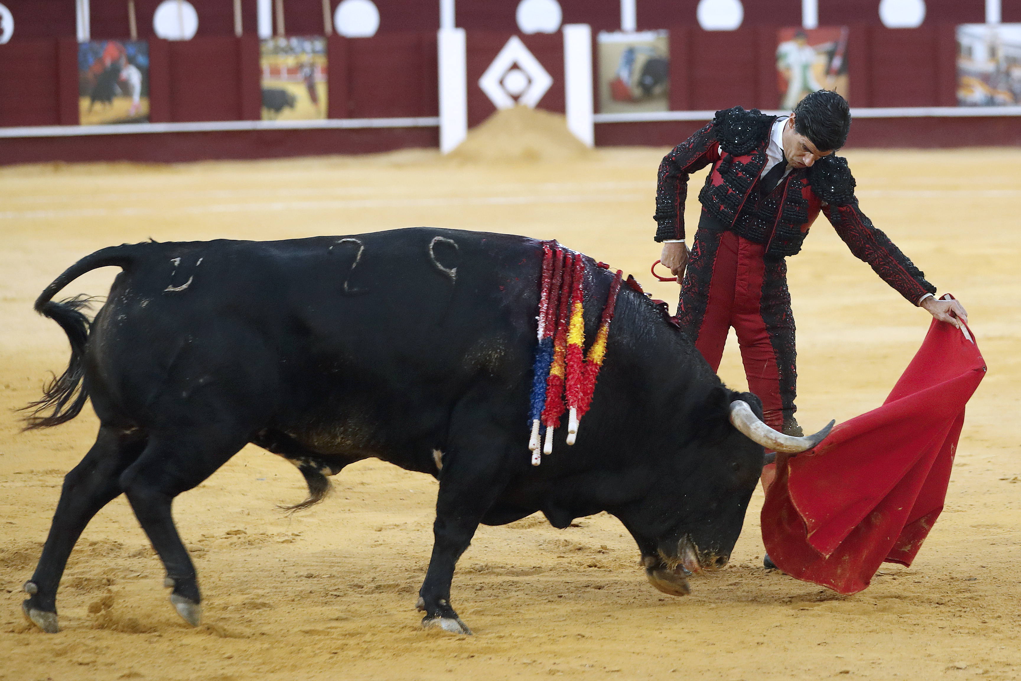 Más de 700.000 firmas piden que la tauromaquia deje de ser patrimonio cultural en España