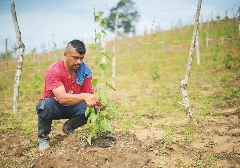 Los desacuerdos entre el Gobierno y Farc sobre la implementación de la paz