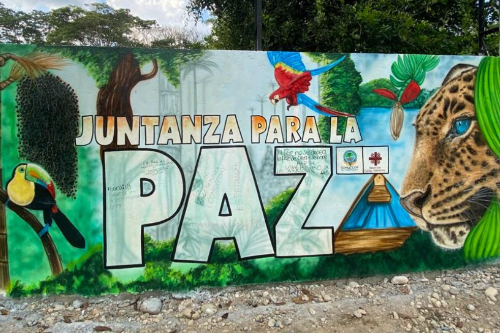 Firmantes de paz y comunidades de Patía, Cauca, le apuestan a modelo productivo sostenible