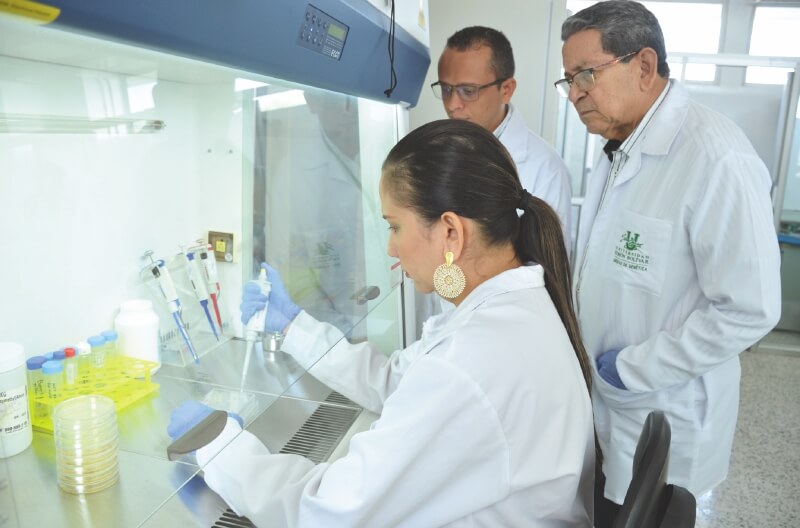 ¿Quién es quién entre las universidades por producción de artículos científicos?