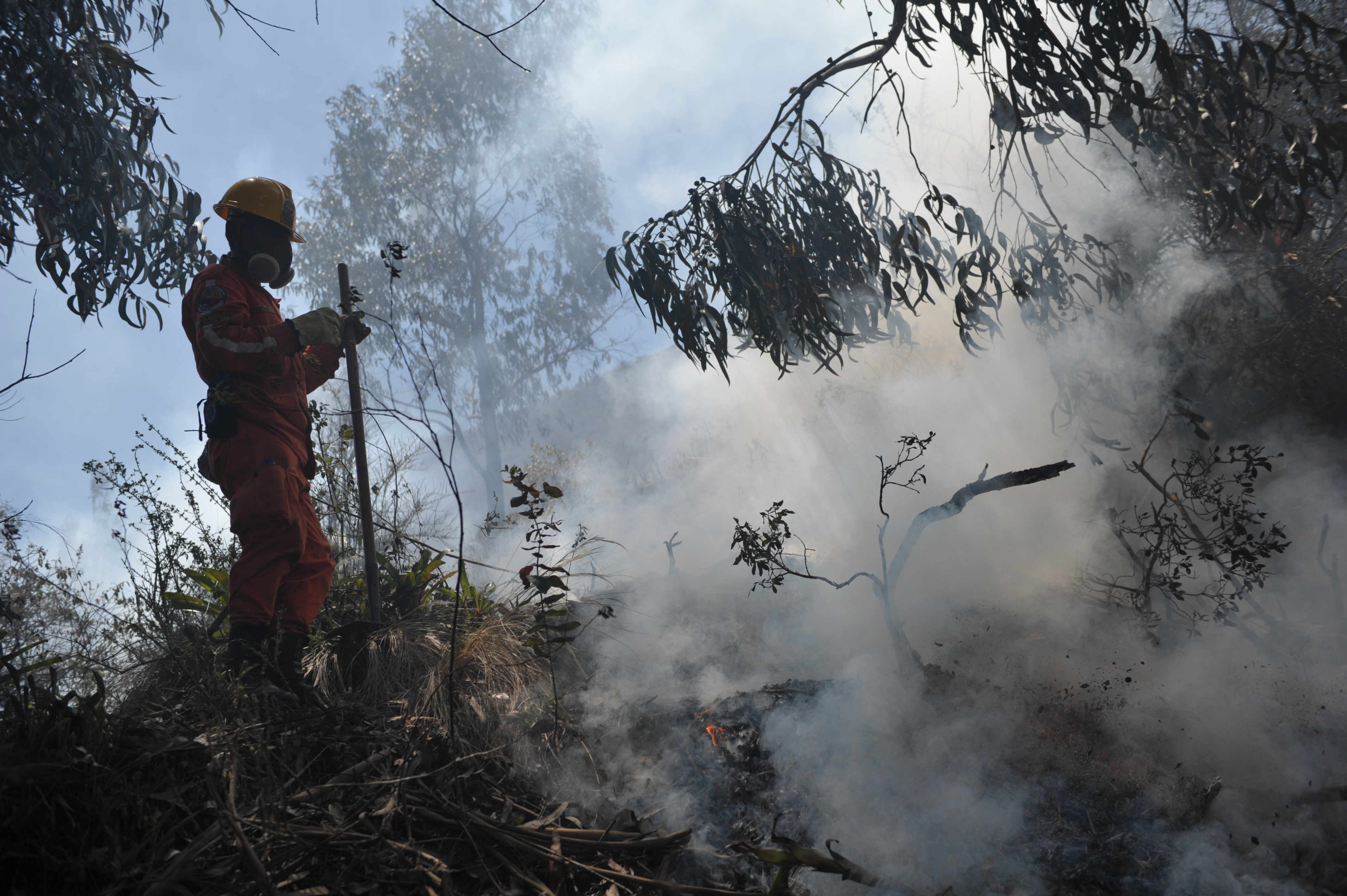 Incendios forestales: en 12 años se han perdido 126 mil hectáreas en Cundinamarca