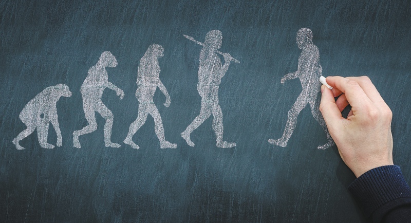 ¿Por qué somos los únicos primates que caminamos sobre dos piernas?