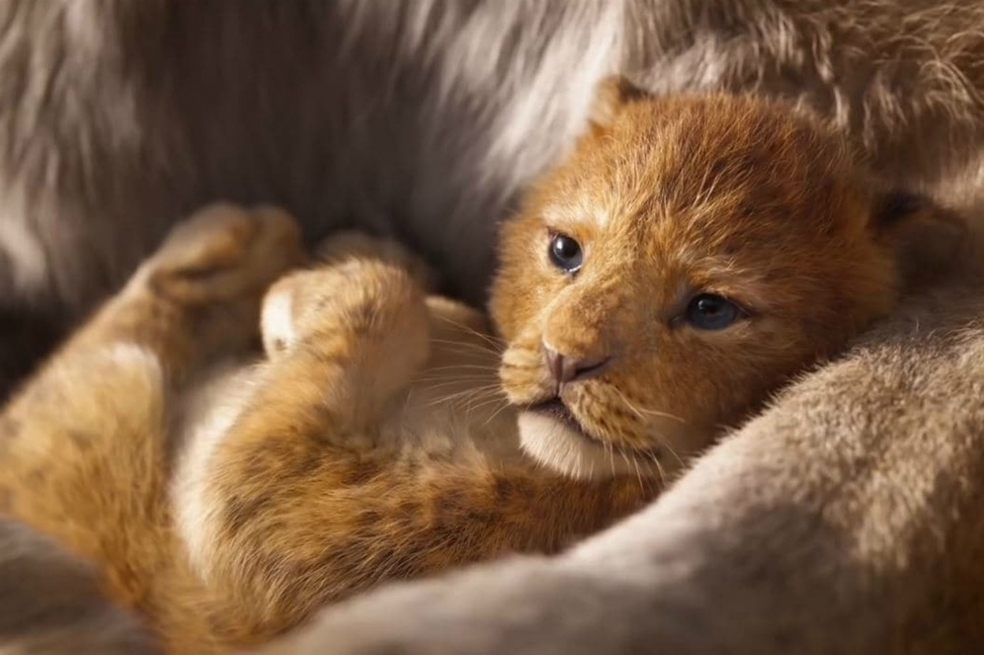 Disney dice que el remake de «El rey león» no será una copia del clásico animado