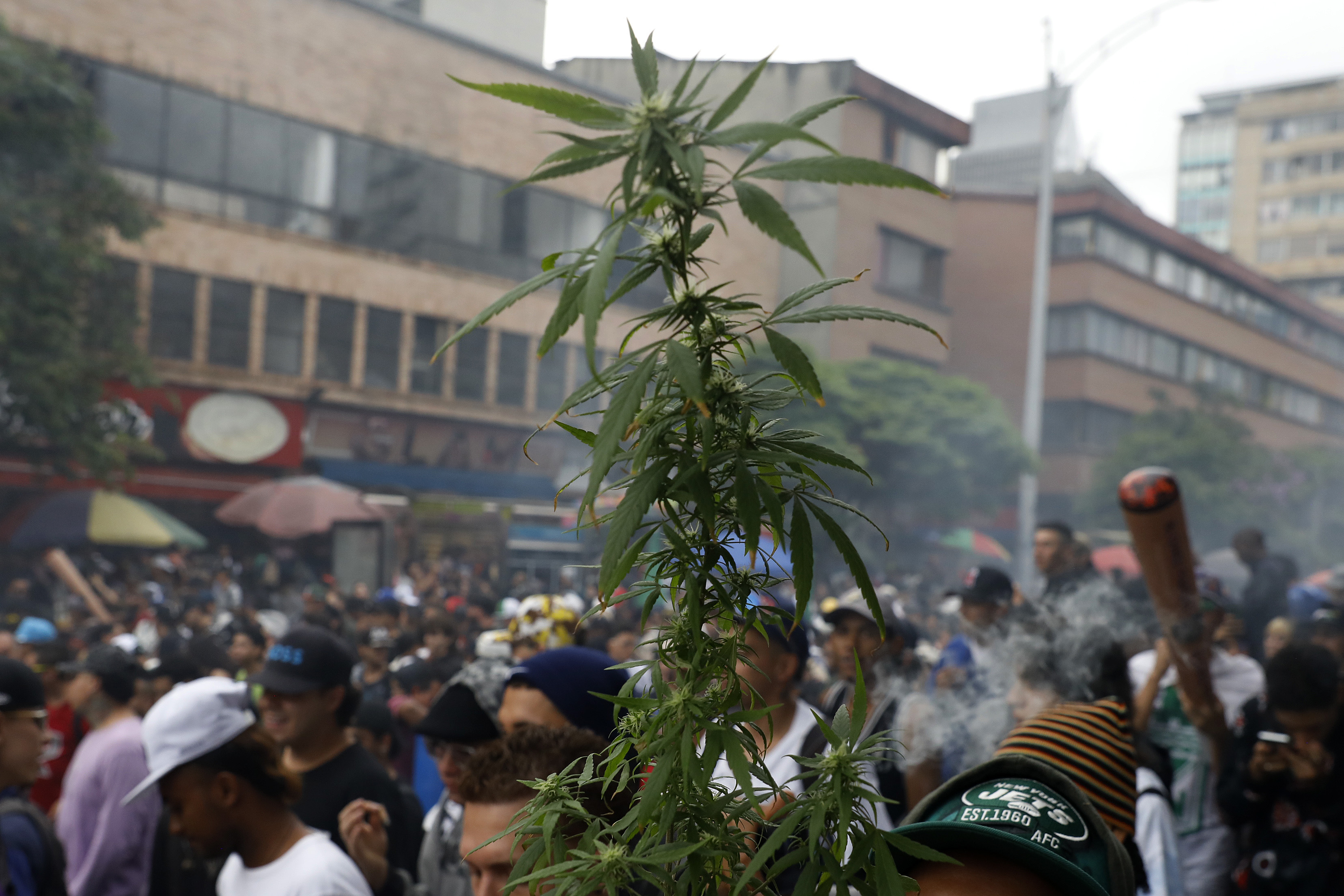 Es momento de la legalización