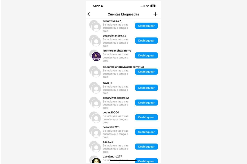 Listado de perfiles que creó Cesar Vivas en Instagram para acosar a Lina Rezk.