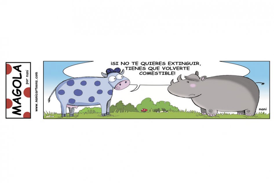 Consejo