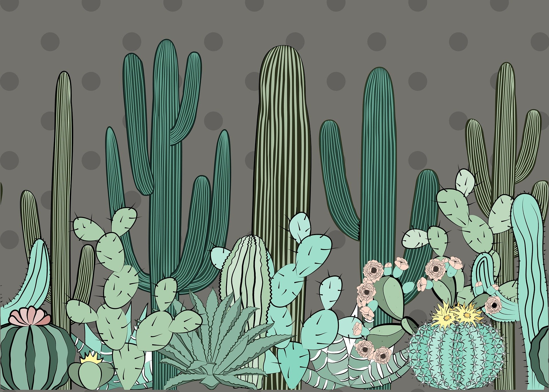¿Por qué un cactus se pone negro?