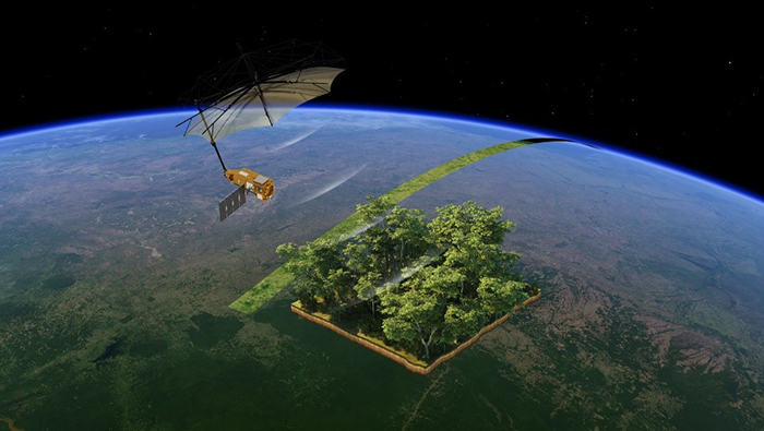 Está listo para despegar el satélite que estudiará los bosques desde el espacio