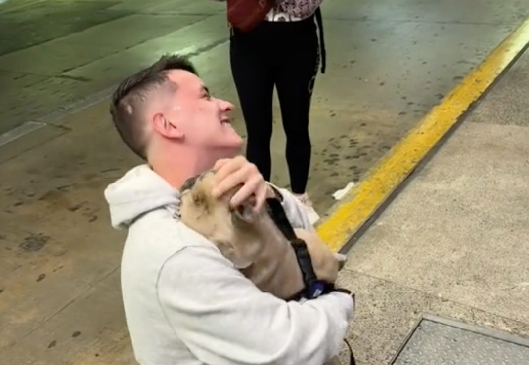 (Video) Perrito recibe a su dueño, luego de estar separado de él por siete meses