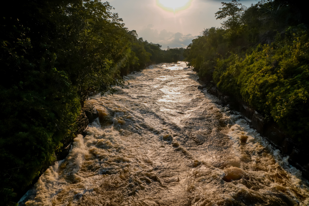 Según cálculos de WWF, los ríos de la Amazonía representan entre el 15% o 16% de la descarga fluvial total del planeta.