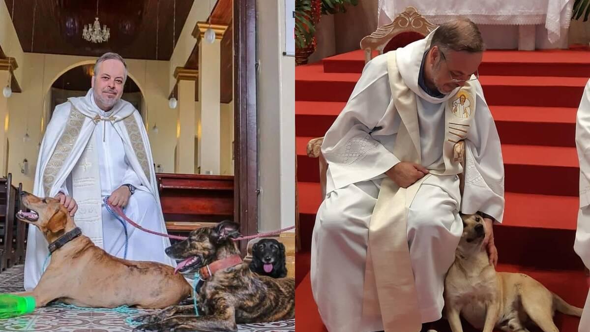 ¿Perros en el altar? La labor de la Iglesia católica en la protección y el rescate animal