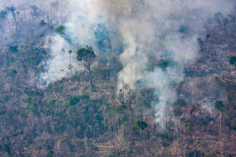 Entre el 18 y el 24 de agosto, InfoAmazonia sobrevoló áreas del sur de Amazonas, noroeste de Rondônia y las áreas protegidas del Parque Estadual Guajará-Mirim y la Tierra Indígena Karipuna.