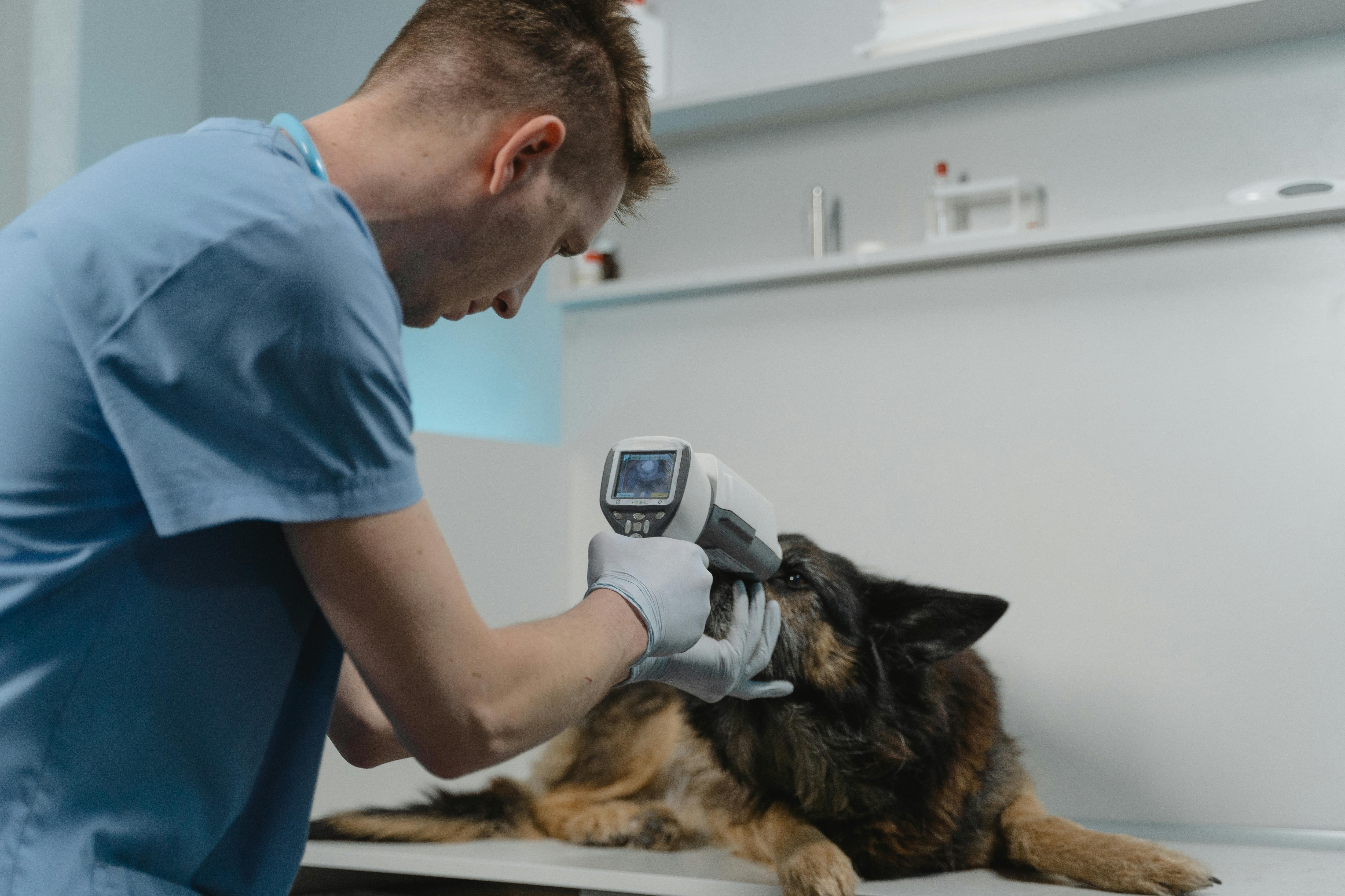 El culpable podría tener cuatro patas: expertos alertan sobre mascotas en escenas del crimen