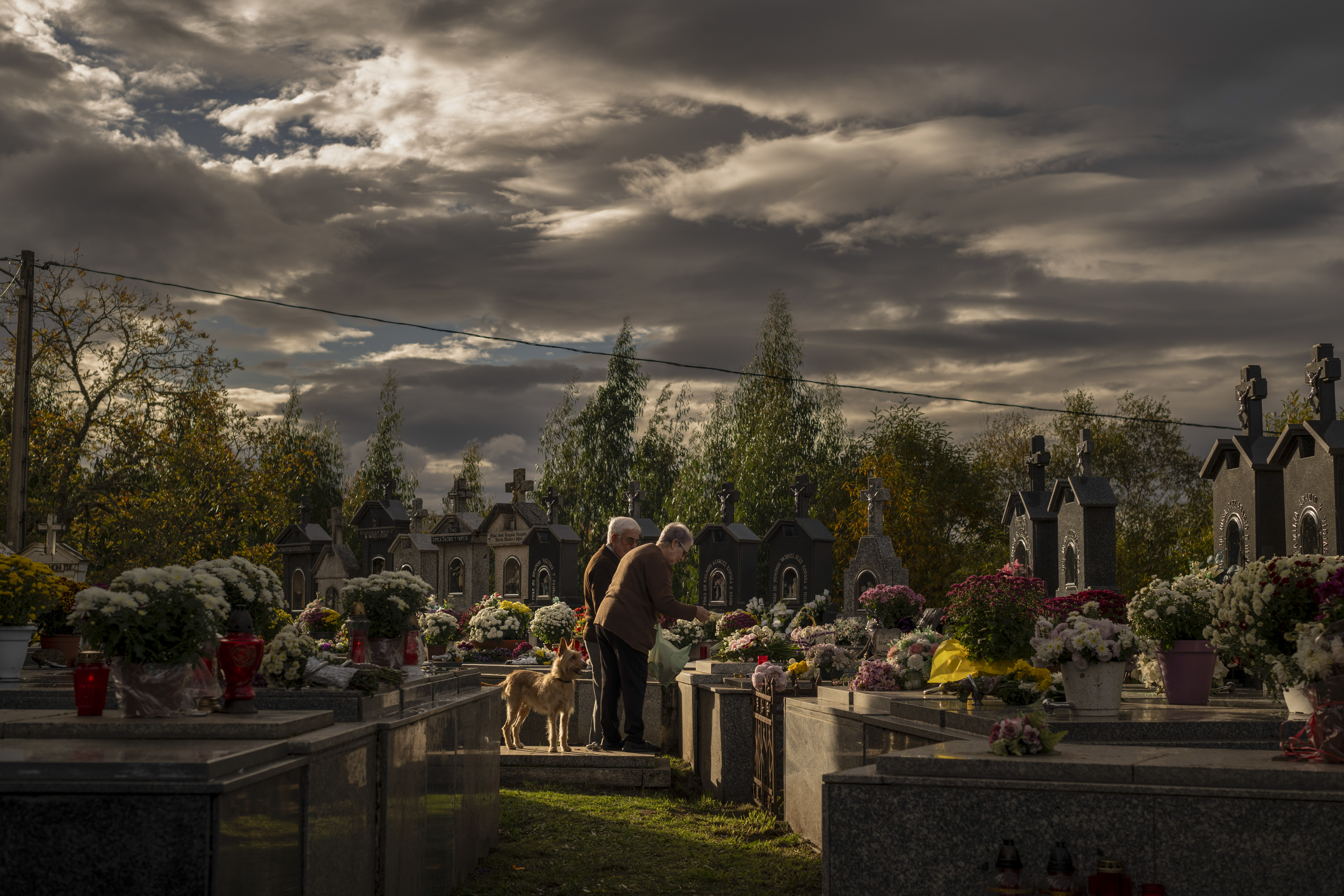 Pasos en el cementerio (Cuentos de sábado en la tarde)