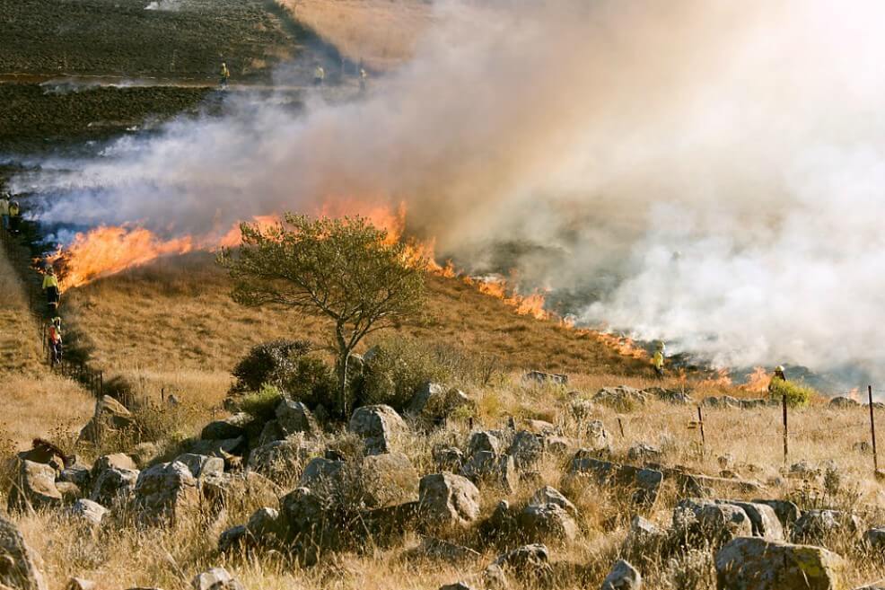 Un estudio revela que el humo de los incendios de África fertiliza la selva amazónica y los océanos