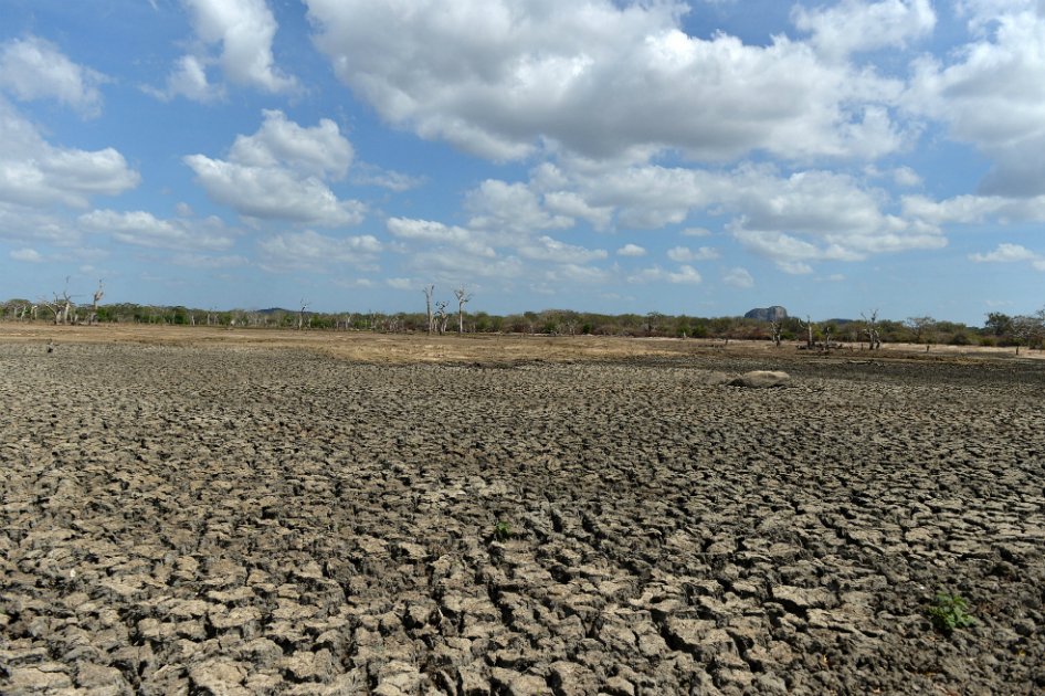 Este agosto fue el más caliente en el mundo desde 1880