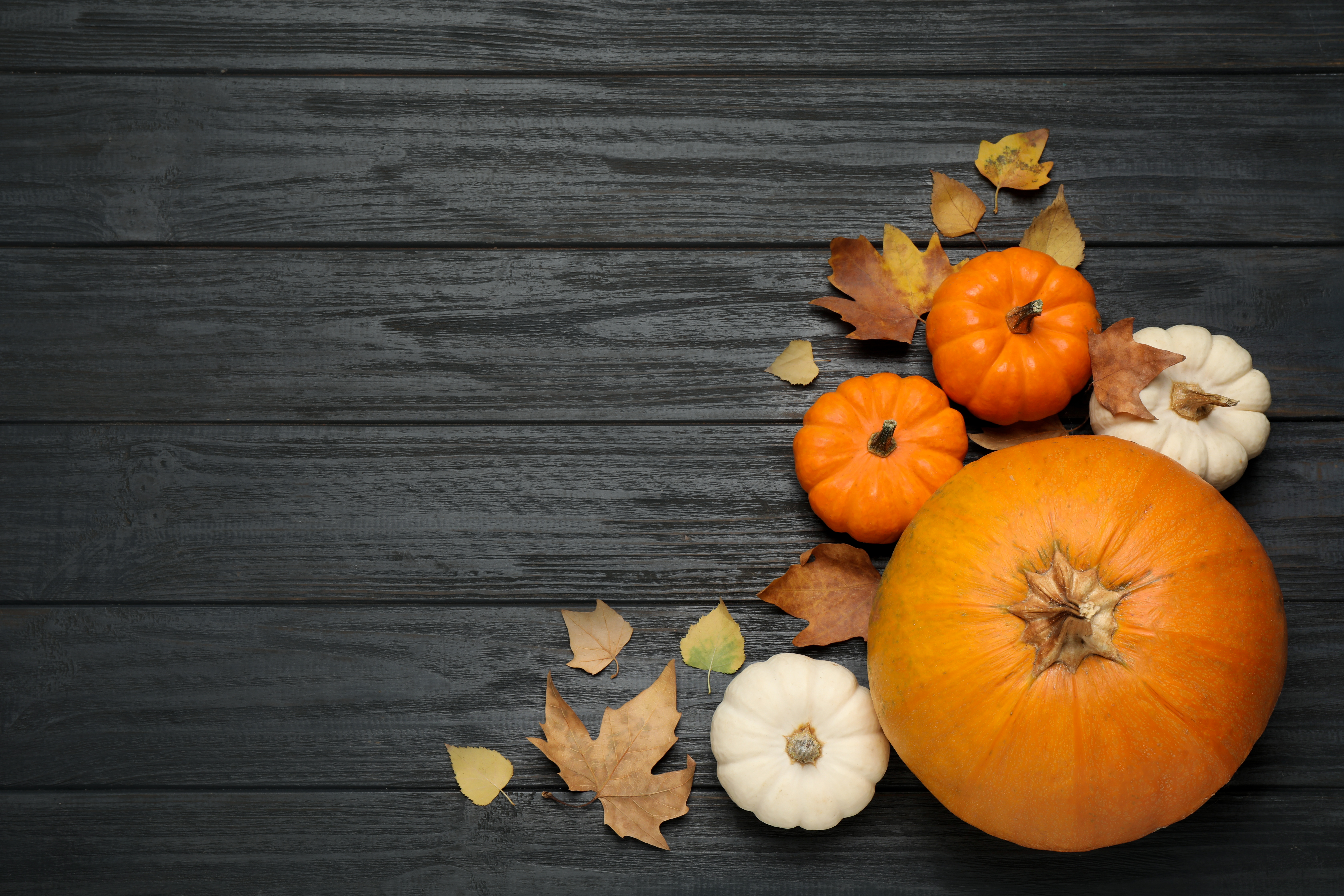 ¿Pan de calabaza? Aquí tienes la receta para prepararlo en Halloween