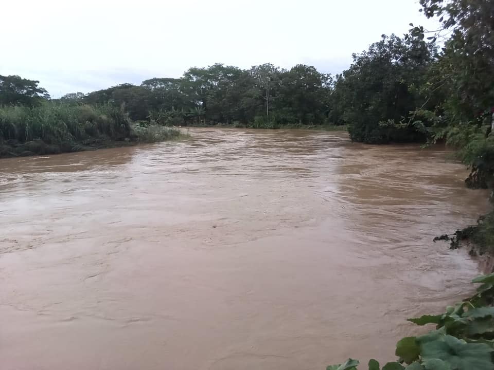 Temporada de lluvias en Córdoba: pérdida de cultivos y familias damnificadas