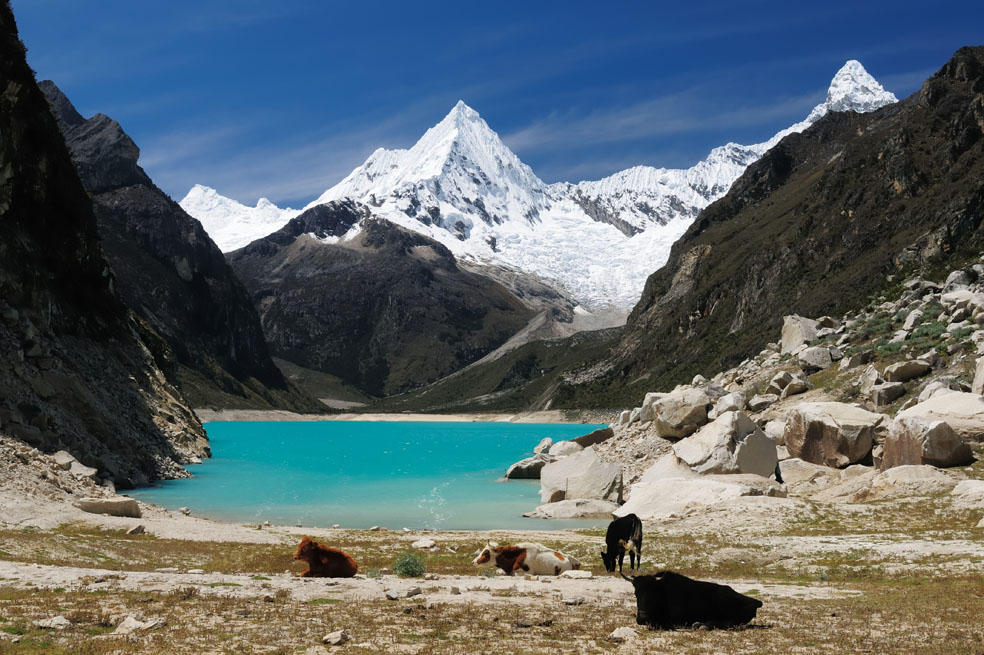 Los colombianos prefieren viajar solos