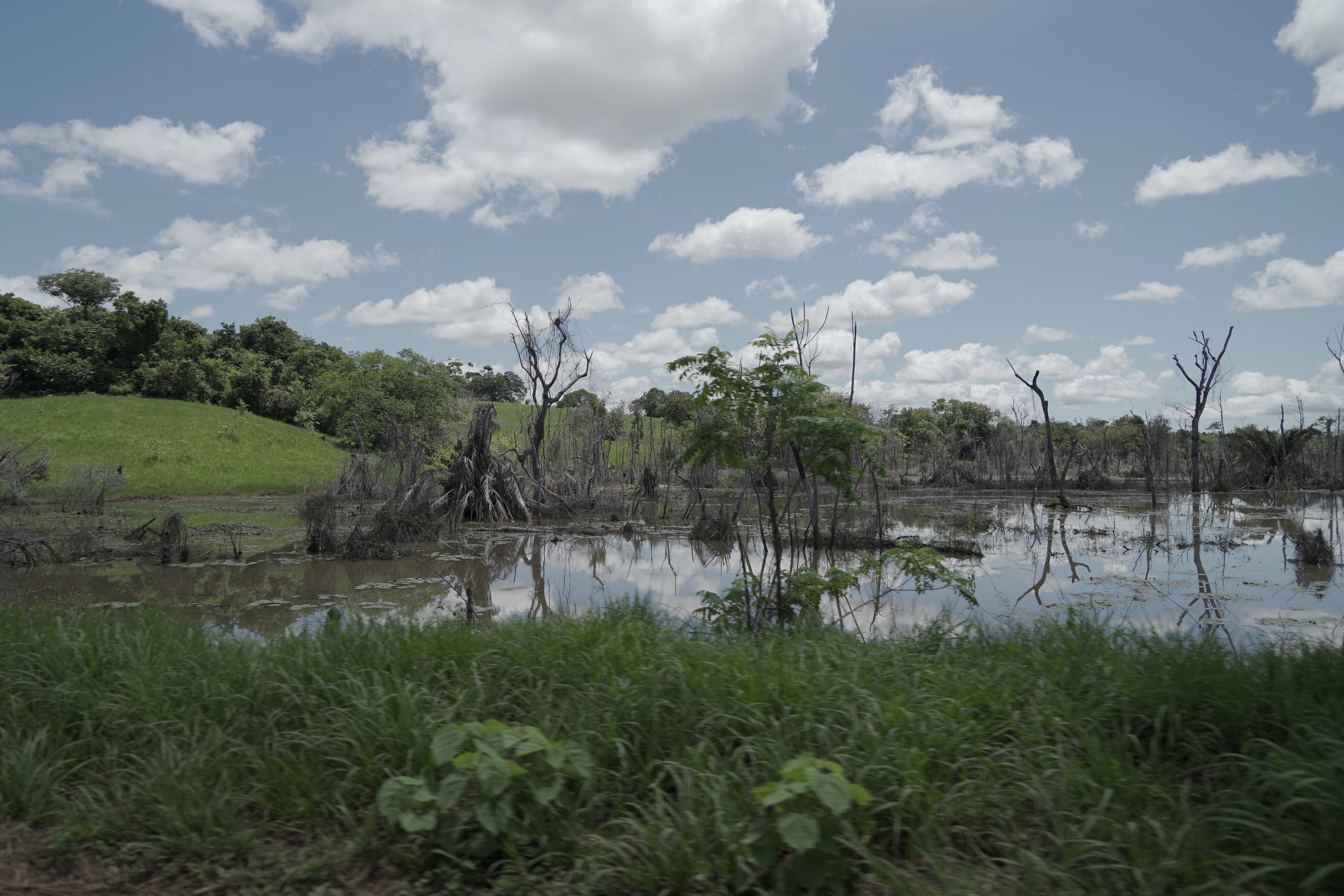 La licencia ambiental de Hidroituango ya contemplaba acciones de restauración para el área de influencia del proyecto, alrededor de las obras y el embalse.