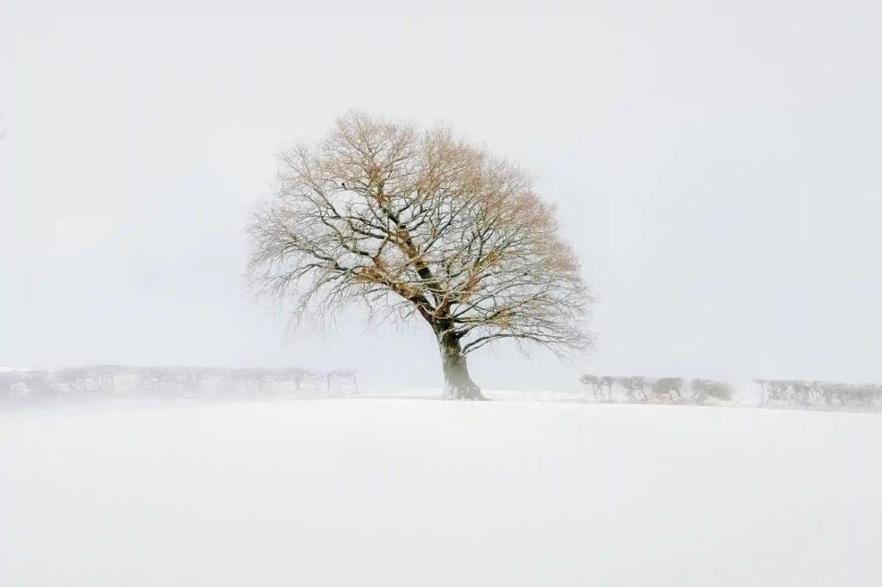 Ganador juvenil: 
Aaron Northwood tomó esta imagen en Inglaterra y confiesa que esta fue “toda la experiencia fue totalmente inesperada y abrumadora".