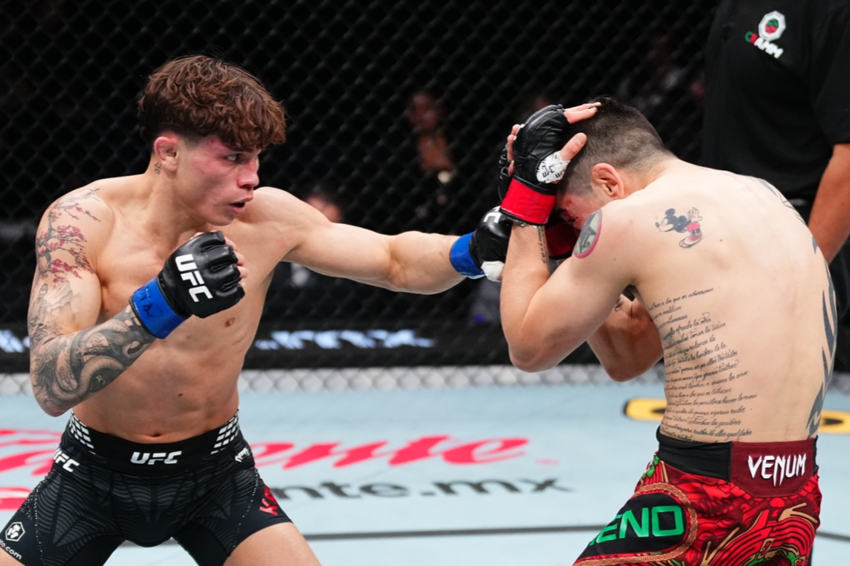 En la noche de Reyes, el trono de México se lo quedó un inglés: así se vive una pelea de UFC