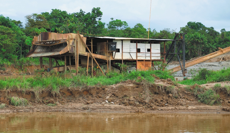 Con biodiversidad combaten la minería ilegal en Río Quito, Chocó