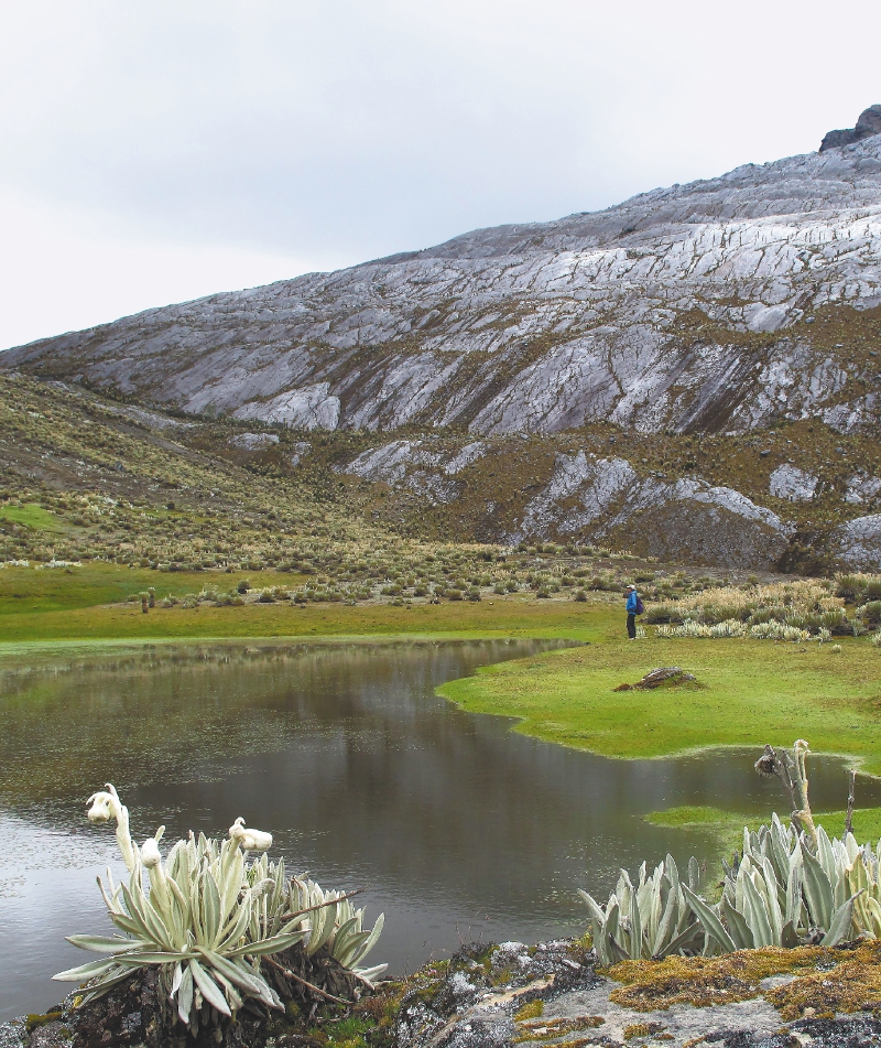 Así se ha gobernado la biodiversidad colombiana en 60 años