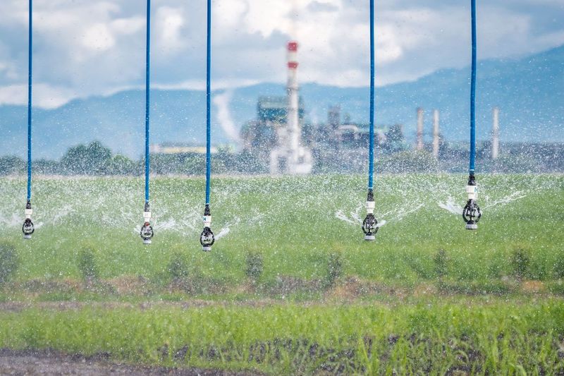 Providencia: impulsando el desarrollo en Colombia con un modelo de triple impacto