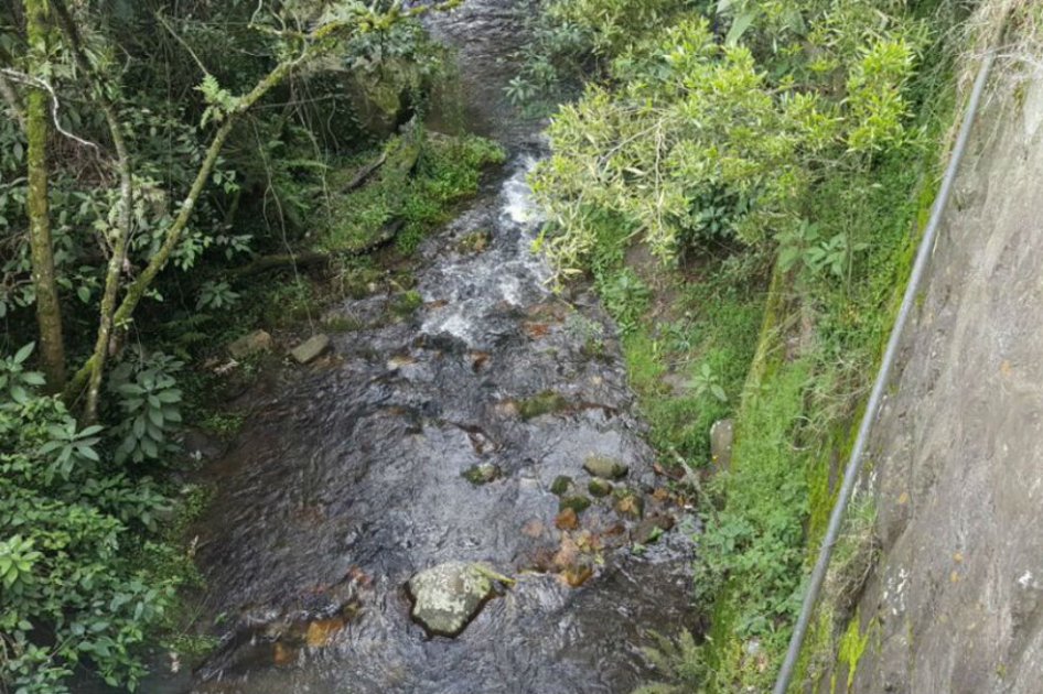 Advierten captación ilegal de agua para regar jardines del santuario de Monserrate